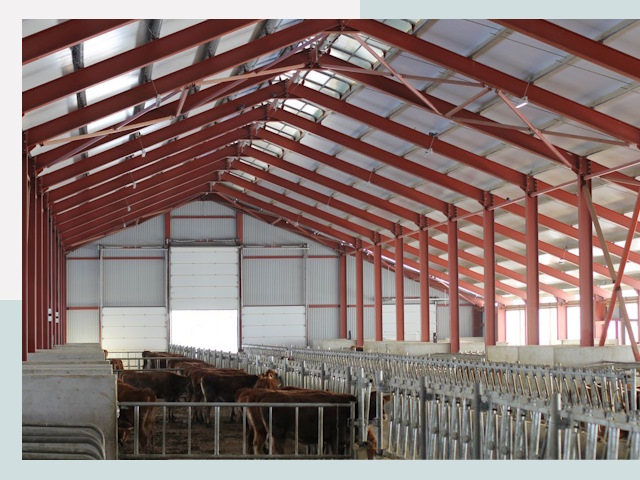 Строительство коровников в Кемерово