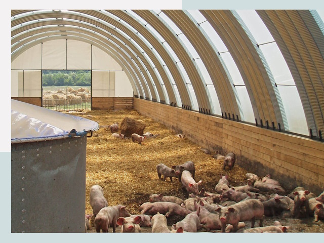 Строительство свинарников в Кемерово