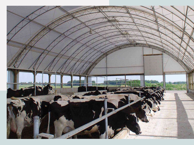 Тентовые коровники в Кемерово